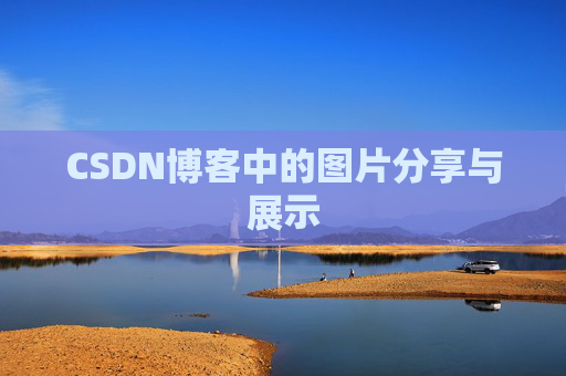 CSDN博客中的图片分享与展示